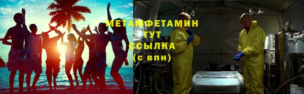 прущие грибы Вяземский
