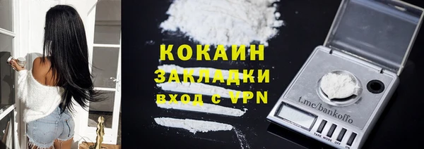 прущие грибы Вяземский
