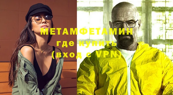 прущие грибы Вяземский