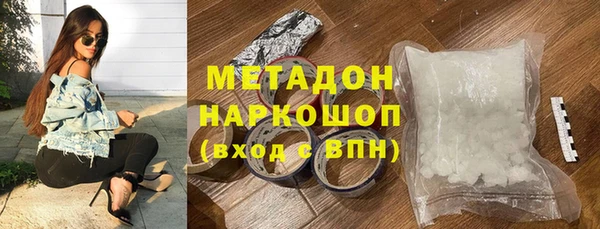 прущие грибы Вяземский