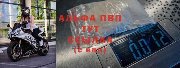 прущие грибы Вяземский