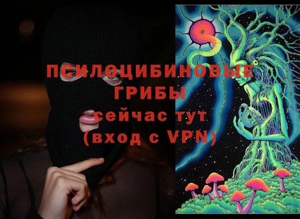 прущие грибы Вяземский