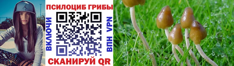 Купить закладки  Нея  Псилоцибиновые грибы Magic Shrooms 